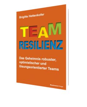 Gemeinsam stark: Team-Resilienz für Projektmanager